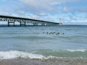 Read more about the article Mackinac Bridge